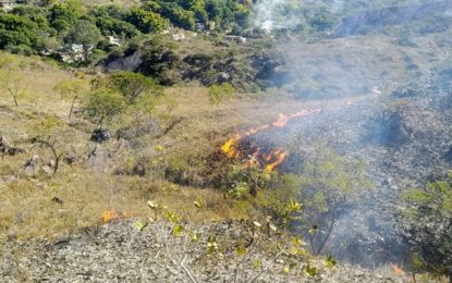 Bombeiros combatem incêndio na Serra do Lenheiro, em São João Del Rei