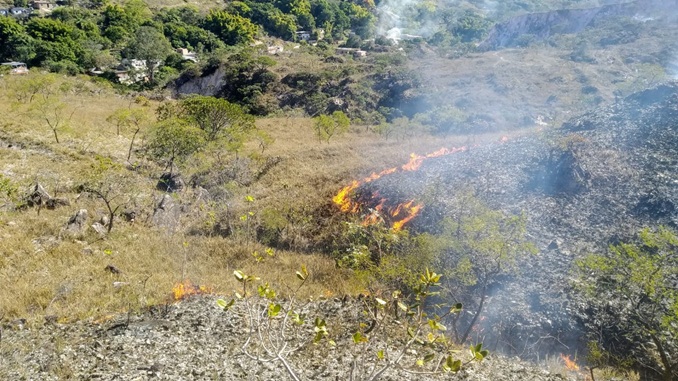 Bombeiros combatem incêndio na Serra do Lenheiro, em São João Del Rei