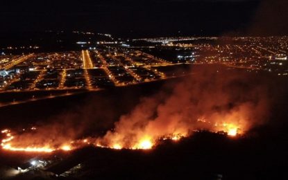 Incêndio: Cerca de seis hectares de vegetação são destruídos em Uberlândia