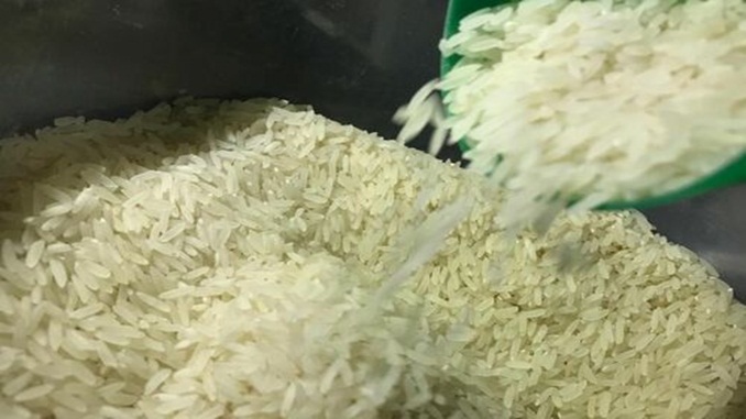Governo zera alíquota do imposto de importação para arroz até o fim do ano