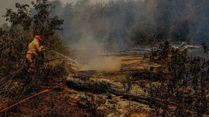Operação Focus investiga origem das queimadas no Pantanal