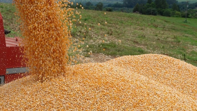 Atual safra de grãos no estado tem expectativa de mais de R$ 15 milhões de toneladas