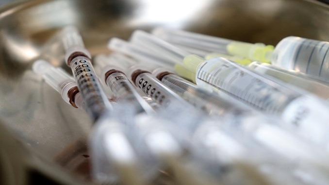 Vacinação contra febre aftosa vai até final de novembro