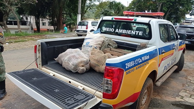 Polícia Militar de Meio Ambiente auxilia áreas afetadas de Correia de Almeida