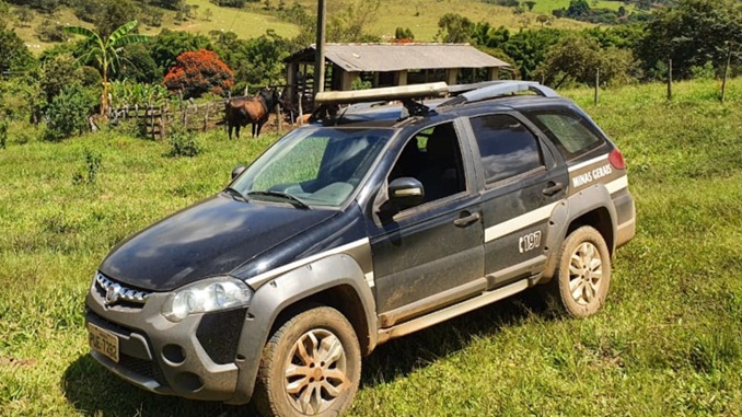 Polícia Civil recupera gado furtado em Entre Rios de Minas