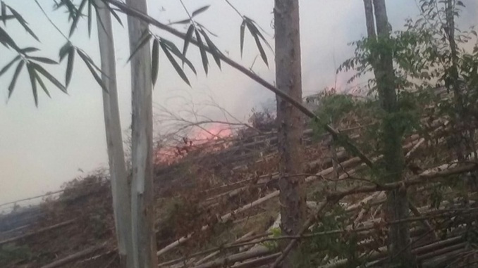 Polícia Militar de Meio Ambiente prende autores de incêndio florestal
