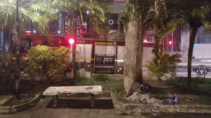 Bombeiros são acionados para apagar incêndio em tronco de árvore na Praça do Globo, em Barbacena