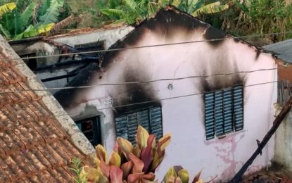 Bombeiros combatem incêndio em residência em Ibertioga