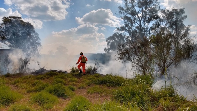 Bombeiros combatem incêndio que ameaçava SAMU, FHEMIG  e Rodovia