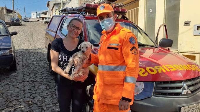 Bombeiros resgatam cão em local de difícil acesso