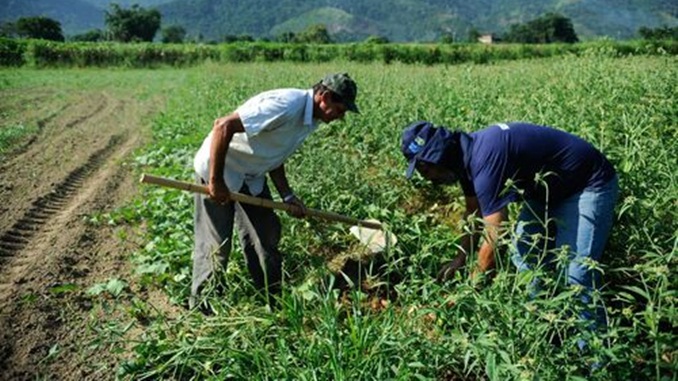 Pequenos produtores rurais terão acesso a mais de R$ 5 bi; recurso foi disponibilizado pelo BNDES