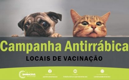 Confira os locais da vacinação da campanha antirrábica 2021