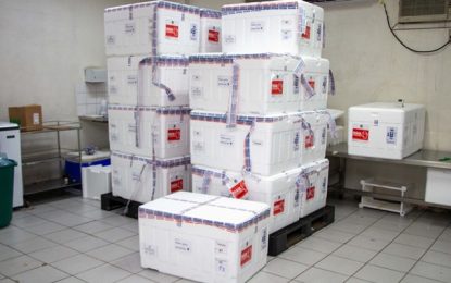 Minas Gerais inicia distribuição de quase 1 milhão de vacinas contra Covid-19