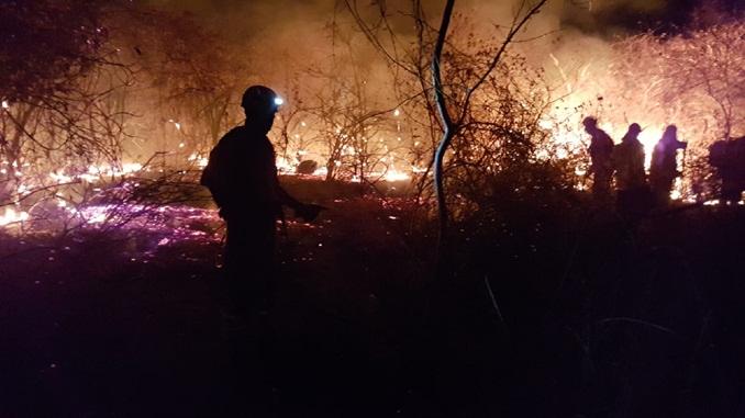 Bombeiros apagam incêndio florestal de grandes proporções em Gameleira