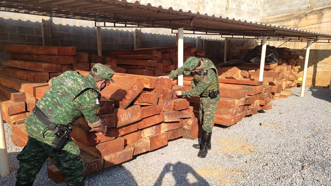 Polícia Militar de Meio Ambiente autua dois cidadãos por adquirir e armazenar madeira serra de espécies nativas