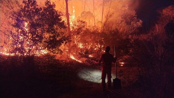 Bombeiros de Salinas atendem ocorrência de incêndio em vegetação