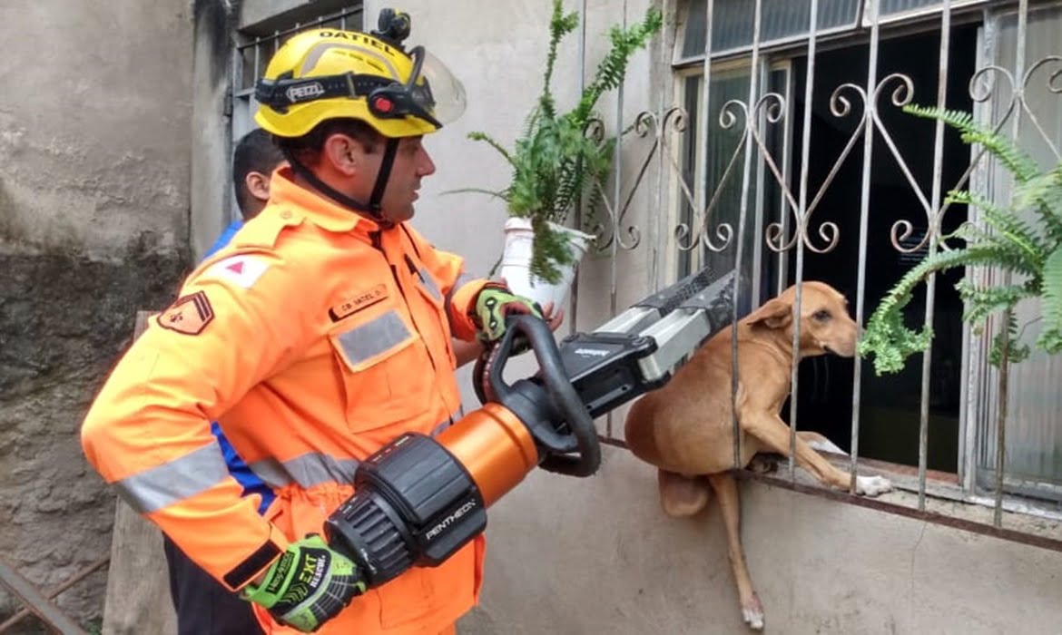 Bombeiros resgatam cachorro que ficou preso entre grades de janela em Barbacena