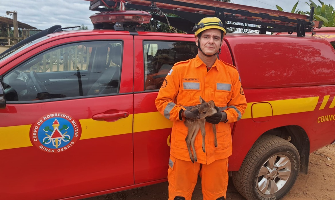 Bombeiros de Barbacena realizam salvamento de um filhote Veado-Campeiro