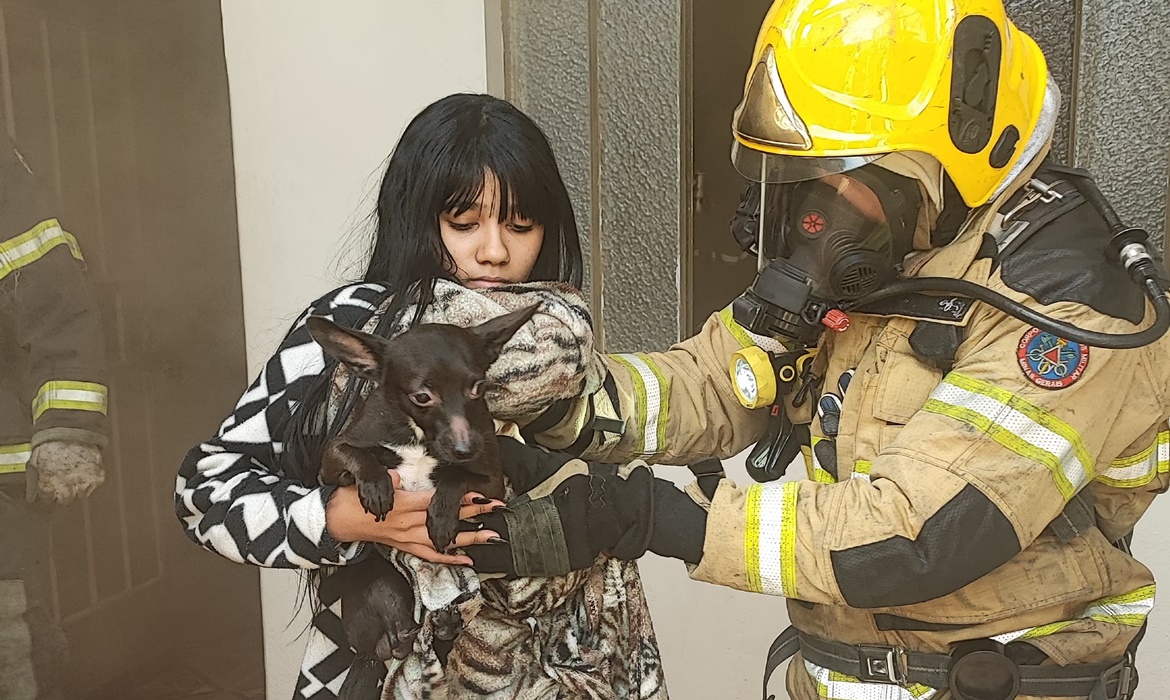 Bombeiros de Conselheiro Lafaiete Apagam Incêndio Residencial e Resgatam Cão Escondido
