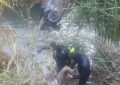 Bombeiros resgatam corpo de motorista que caiu em Córrego em Piedade do Rio Grande