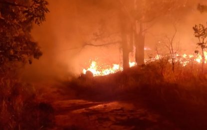Bombeiros combatem incêndio de grandes proporções no Rio das Mortes